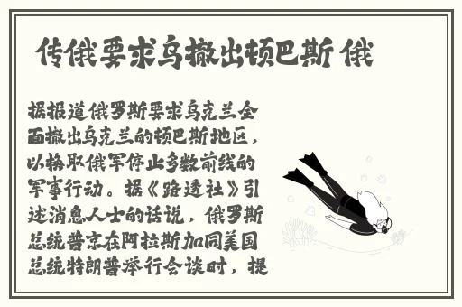 40岁阿姨荒野大镖客一电影内容